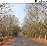 odisha_roads