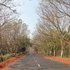 Odisha Roads