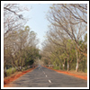 Odisha Roads