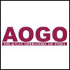 AOGO_ProjectsMonitor