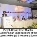 Punjab Investment