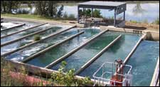 Chlorine Contact Tank_ProjectsMonitor