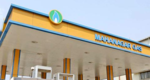 MAHANAGAR GAS