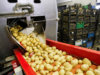 Food Processing Industries