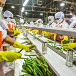food processing unit tamil nadu
