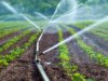 Irrigation & CAD Departmen