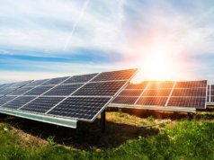 Tata Power Renewable Energy receives LoA to develop 100 MW solar project