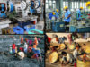 Banks have sanctioned loans of about Rs 1,14,502 crore under the Rs three lakh crore Emergency Credit Line Guarantee Scheme (ECLGS) for the MSME sector reeling under the economic slowdown caused by the COVID-19 pandemic.