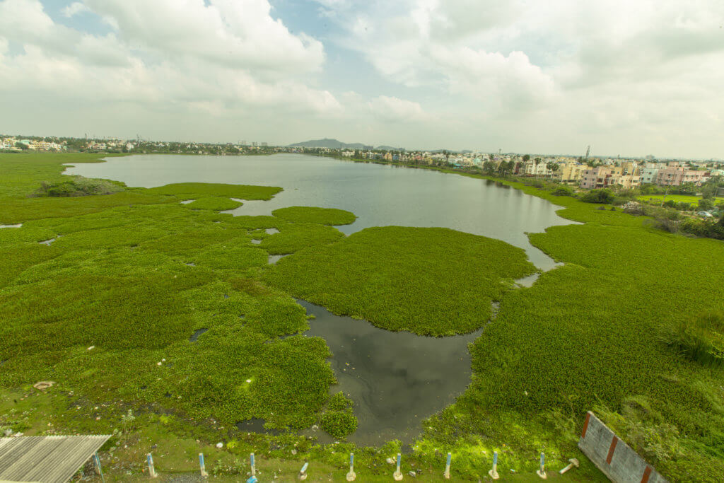 Cognizant and Grundfos Join Hands to Restore Sembakkam Lake