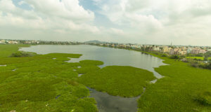 Cognizant and Grundfos Join Hands to Restore Sembakkam Lake