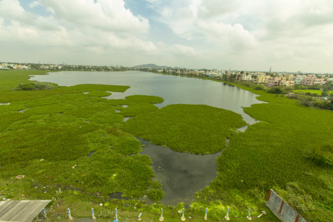 Cognizant and Grundfos Join Hands to Restore Sembakkam Lake