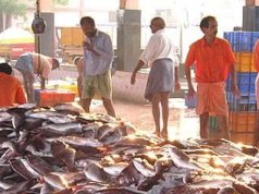 Pradhan Mantri Matsya Sampada Yojana launched