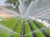 The Water Resources Department, Tamil Nadu has floated tender for rehabilitation of irrigation infrastructure. The scope of work involves rehabilitation of irrigation infrastructure in GA main canal LS from 45.290 km to 58.650 km, VT channel, GA no 6 channel, GA no 7 channel, GA no 8 channel, and Kalyana Odai branch canal LS from 0.000 km to 13.000 km, Kulamangalam main channel, Paruthikkottai channel, Melavannipattu channel with feeding tanks in Thanjavur, Papanasan, Orathanadu talukas of Thanjavur district. The work will be completed in a period of 36 months.
