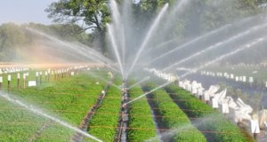 The Water Resources Department, Tamil Nadu has floated tender for rehabilitation of irrigation infrastructure. The scope of work involves rehabilitation of irrigation infrastructure in GA main canal LS from 45.290 km to 58.650 km, VT channel, GA no 6 channel, GA no 7 channel, GA no 8 channel, and Kalyana Odai branch canal LS from 0.000 km to 13.000 km, Kulamangalam main channel, Paruthikkottai channel, Melavannipattu channel with feeding tanks in Thanjavur, Papanasan, Orathanadu talukas of Thanjavur district. The work will be completed in a period of 36 months.