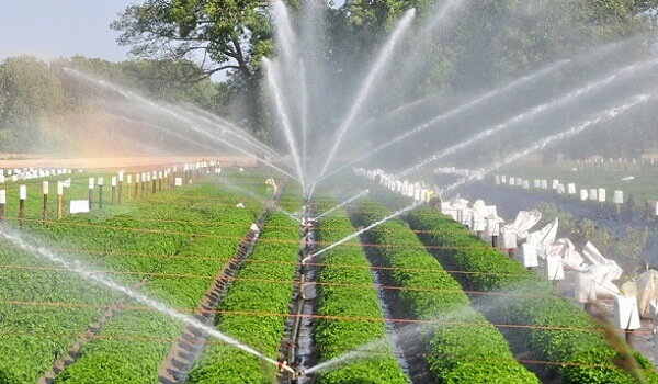 The Water Resources Department, Tamil Nadu has floated tender for rehabilitation of irrigation infrastructure. The scope of work involves rehabilitation of irrigation infrastructure in GA main canal LS from 45.290 km to 58.650 km, VT channel, GA no 6 channel, GA no 7 channel, GA no 8 channel, and Kalyana Odai branch canal LS from 0.000 km to 13.000 km, Kulamangalam main channel, Paruthikkottai channel, Melavannipattu channel with feeding tanks in Thanjavur, Papanasan, Orathanadu talukas of Thanjavur district. The work will be completed in a period of 36 months.