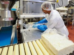 Hatsun Agro Product begins commercial production at new plant in Maharashtra
