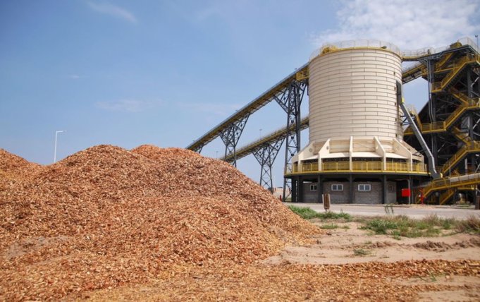 LT Foods, Humankind Group team up to recycle rice paddy straw into green energy, bio-fertiliser