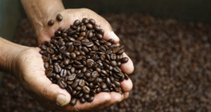 A five-year integrated development plan for the coffee sector with an outlay of Rs 1,200 crore is in the offing. The proposed integrated development plan has received approval from the Commerce Ministry, Finance Ministry, NITI Aayog and the Prime Minister’s Office, is expected to be placed before the Union Cabinet shortly. The proposed scheme prepared by the Coffee Board, in consultation with stakeholders, has many components such as assistance for re-plantation, revival of white stem borer-affected arabica plantations, productivity improvement of robusta holdings by gap filling with elite clones and collar pruning, water augmentation, quality upgradation - eco pulpers, drying yards, roasting and grinding units, formation of FPOs and exports promotion, among others. Once the Cabinet clears the proposal, the scheme will be implemented with immediate effect. As part of the proposed plan, a Centre of Excellence (CoE) for coffee entrepreneurship is being planned to groom the next generation.