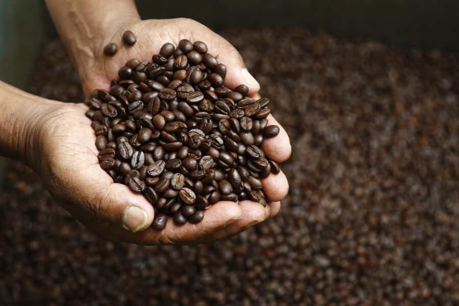 A five-year integrated development plan for the coffee sector with an outlay of Rs 1,200 crore is in the offing. The proposed integrated development plan has received approval from the Commerce Ministry, Finance Ministry, NITI Aayog and the Prime Minister’s Office, is expected to be placed before the Union Cabinet shortly. The proposed scheme prepared by the Coffee Board, in consultation with stakeholders, has many components such as assistance for re-plantation, revival of white stem borer-affected arabica plantations, productivity improvement of robusta holdings by gap filling with elite clones and collar pruning, water augmentation, quality upgradation - eco pulpers, drying yards, roasting and grinding units, formation of FPOs and exports promotion, among others. Once the Cabinet clears the proposal, the scheme will be implemented with immediate effect. As part of the proposed plan, a Centre of Excellence (CoE) for coffee entrepreneurship is being planned to groom the next generation.