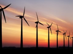 Vector Green, Evergreen Power sign MoU to develop 300 MW wind projects