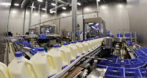 dairy Manufacturing