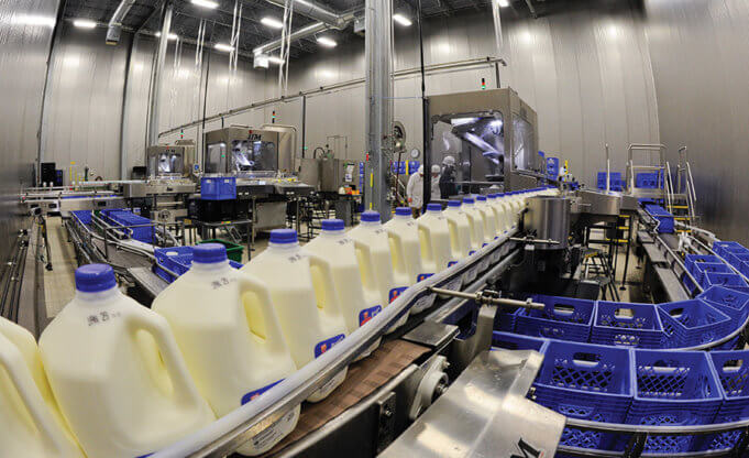 dairy Manufacturing