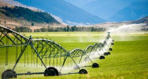 Irrigation & Public Health Dept, Himachal Pradesh issues tender for LWSS works