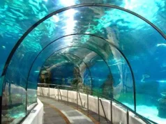underwater Metro
