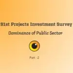 91Survey-2