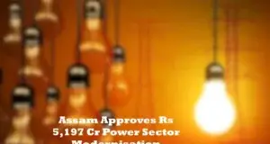 Assam Power