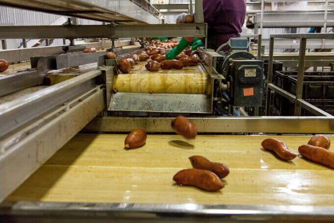 Food Processing