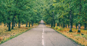 Green Highways