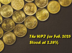 WPI Feb 2025