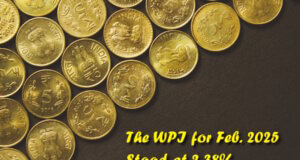 WPI Feb 2025