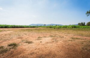 Land Acquisition Begins for Nagari Industrial Park in Andhra Pradesh
